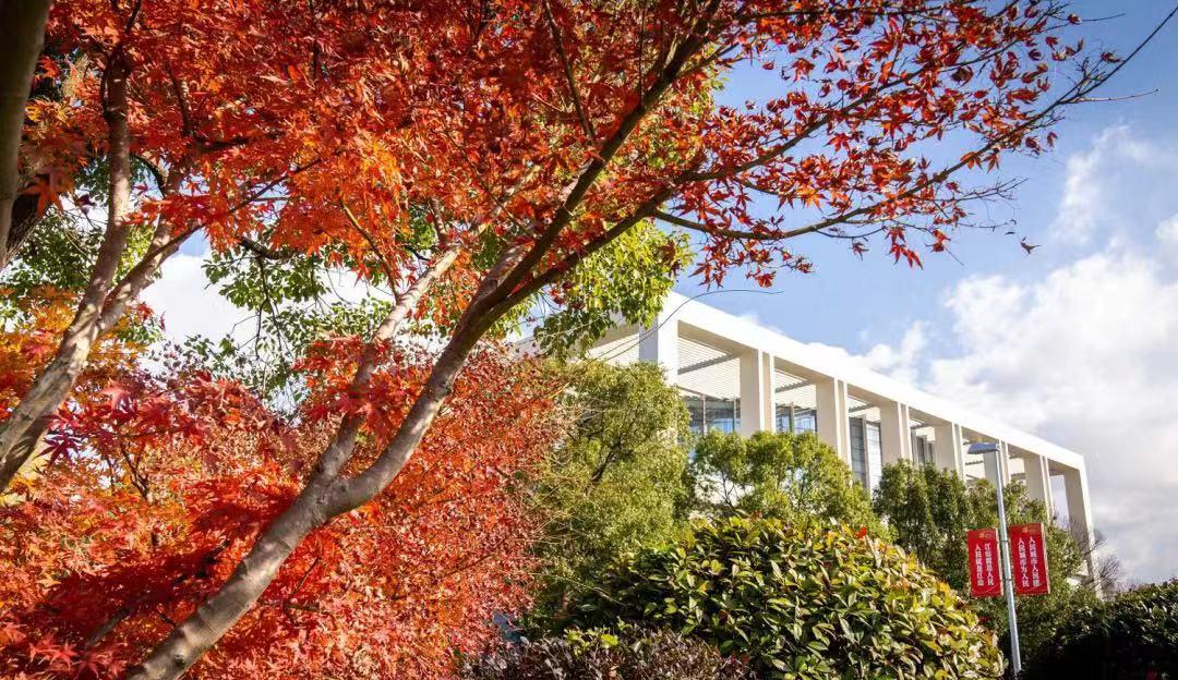 上海赏枫最佳去处,上海本地赏枫最佳地方