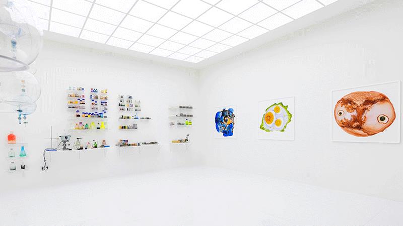 兰蔻菁纯艺术展预热,兰蔻菁纯艺术之夜