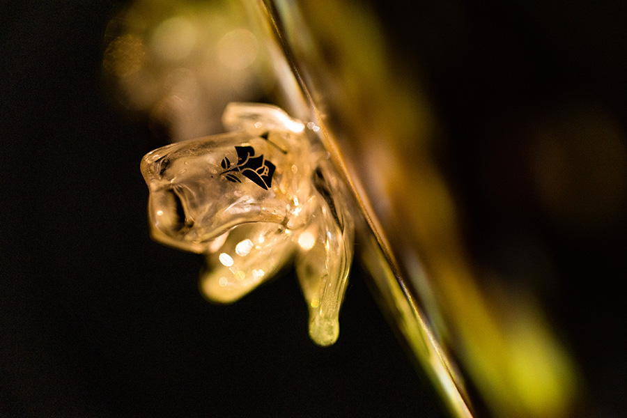 兰蔻菁纯艺术展预热,兰蔻菁纯艺术之夜