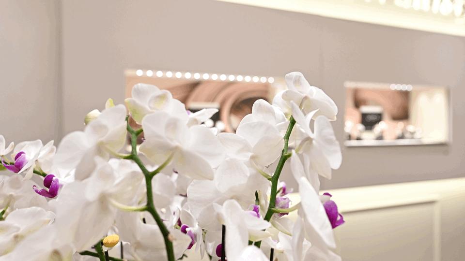 skp买女表,skp买表