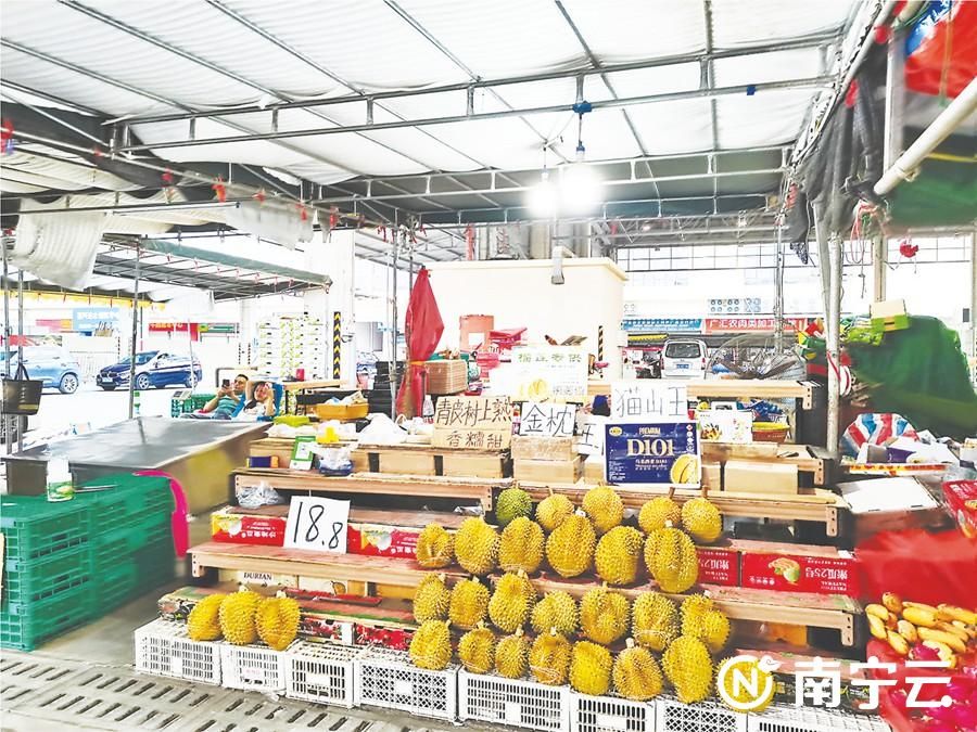 南宁东盟水果,东盟国家的水果