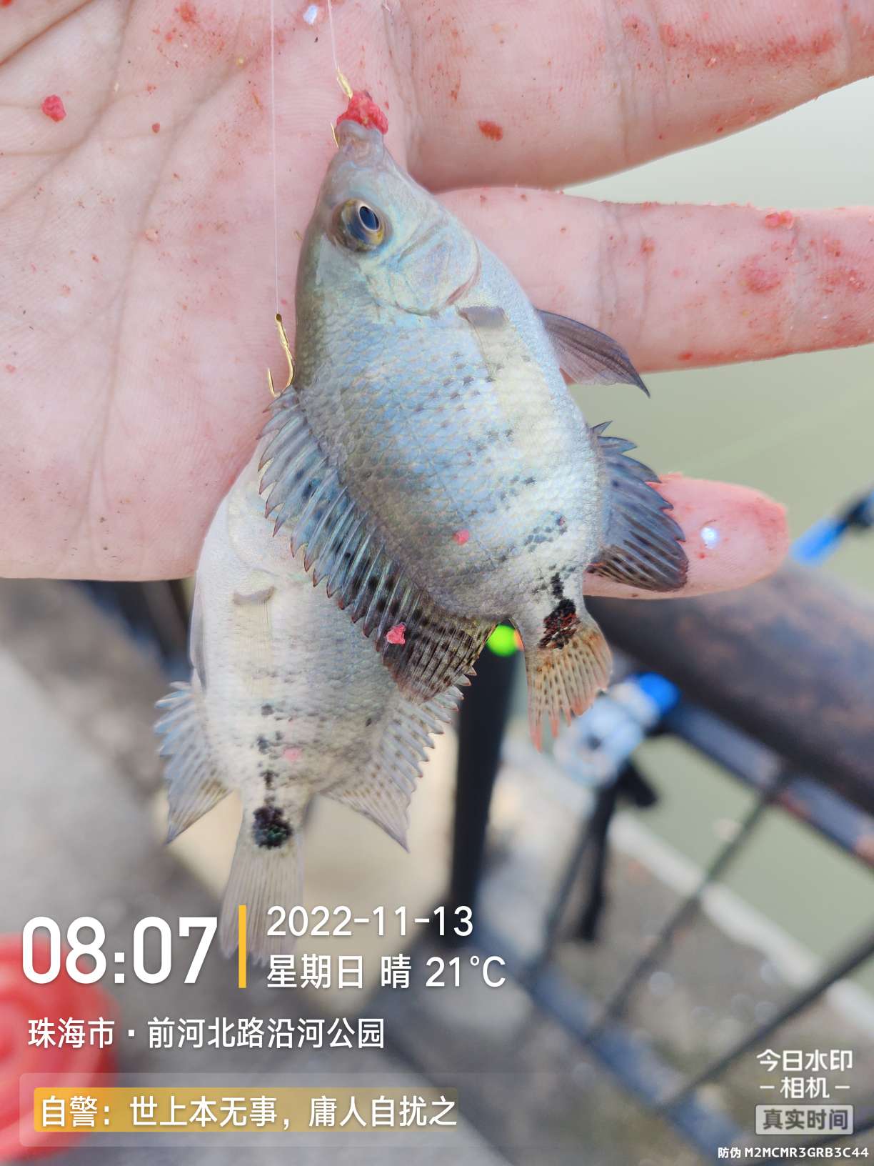 刷新了对钓鱼的认知,钓鱼的十个思维方法