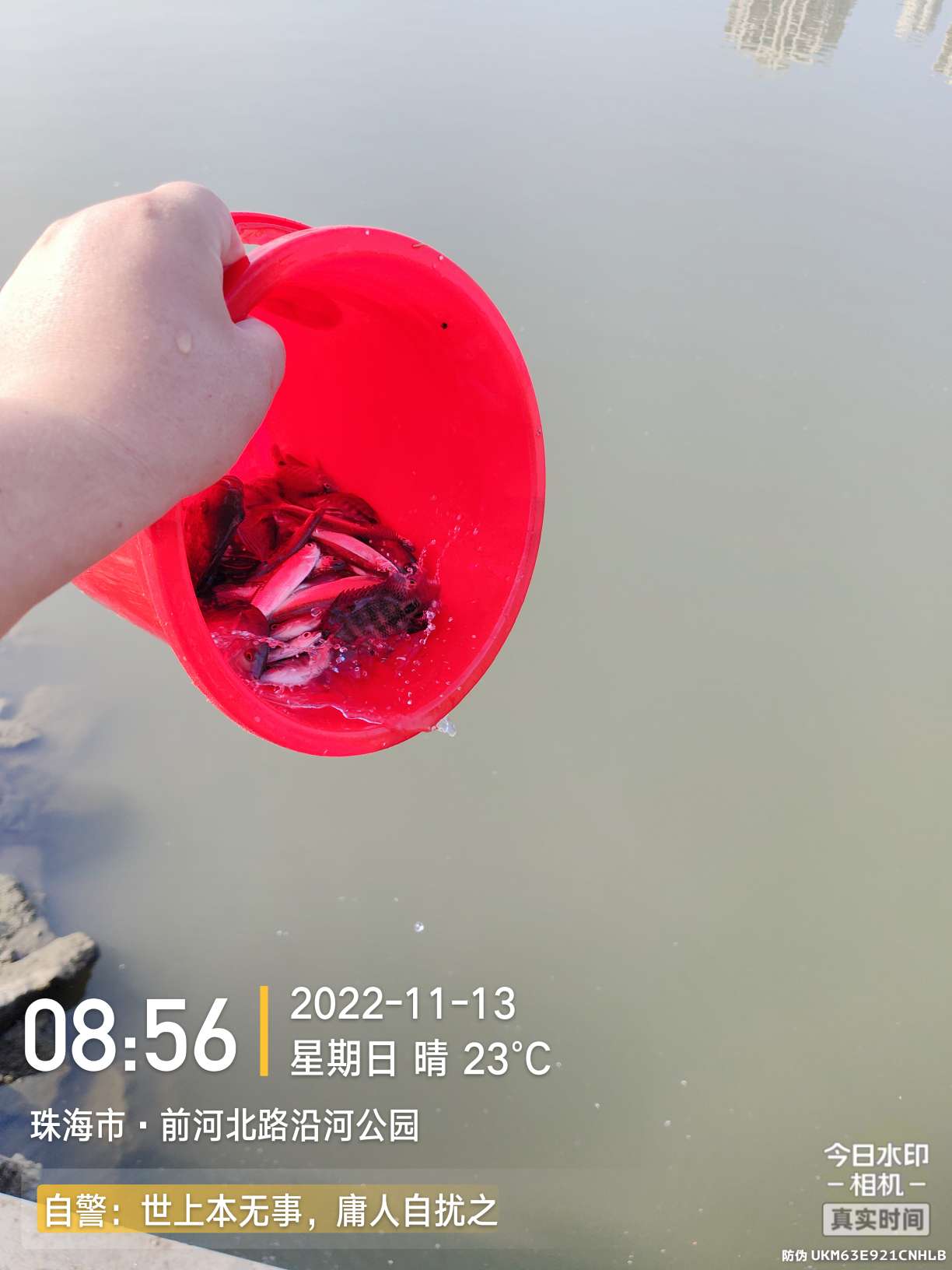 刷新了对钓鱼的认知,钓鱼的十个思维方法