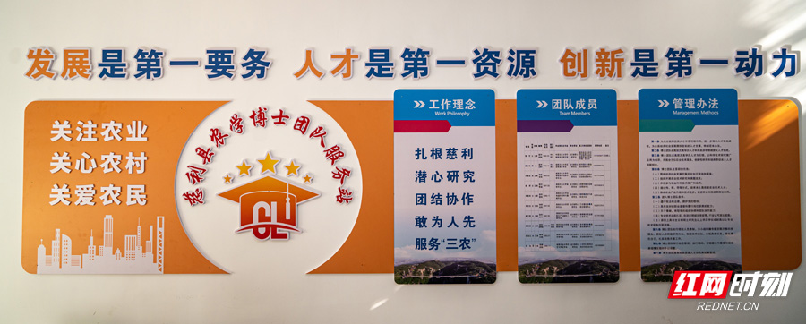 张家界基层*党**建工作优秀实践创新案例：慈利县农学博士团队服务站助力“三农”新发展