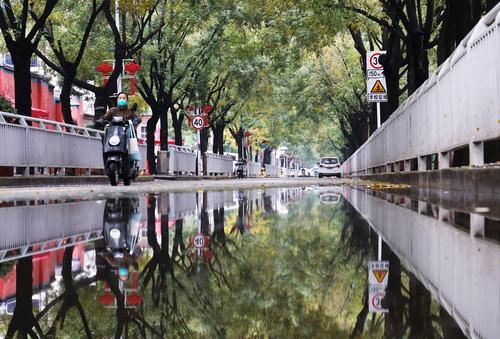 郑州雨中的浪漫,秋天郑州夜晚街头