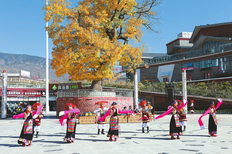 马术课特色课,马术课进校园