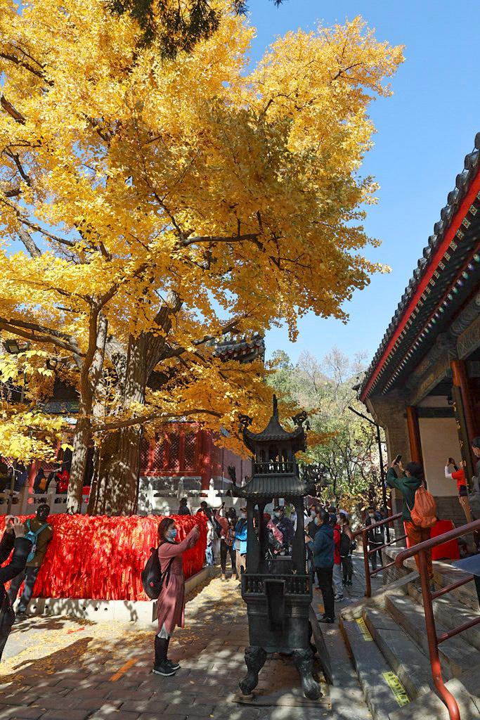 红螺寺秋游攻略,秋游千佛山森林公园