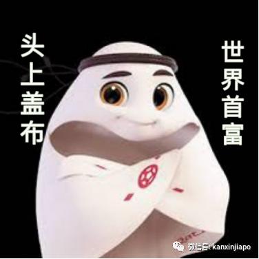 卡塔尔新加坡视频,卡塔尔和新加坡哪个大