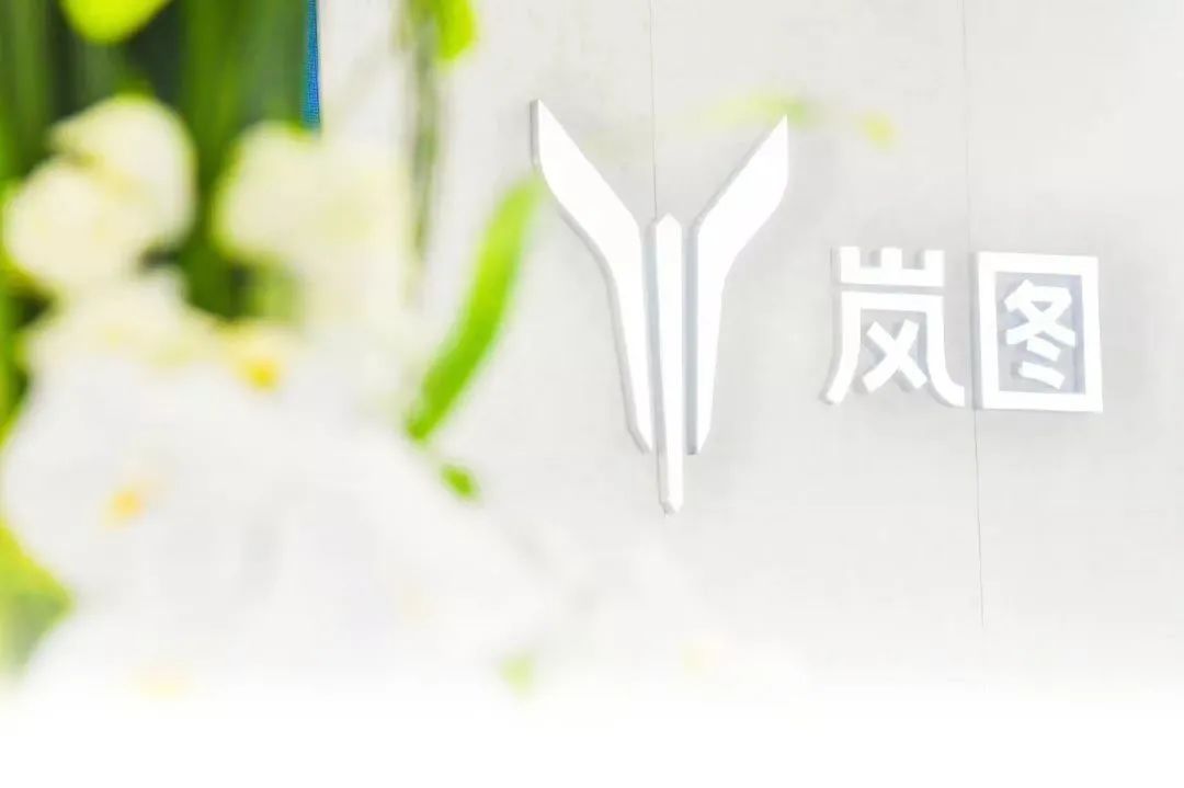 10家投资机构为何集体向东风汽车砸钱