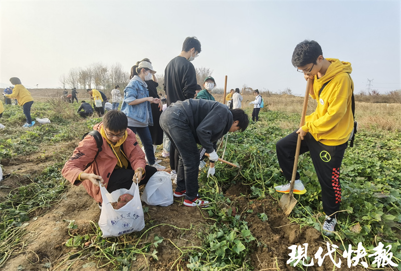 南农大作物耕作学,南农大参观
