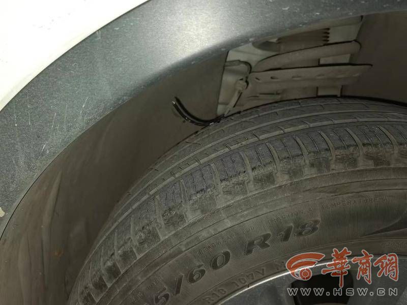 夜晚流浪猫撞倒电动车找物业理赔,流浪猫损害车辆找投喂人赔偿