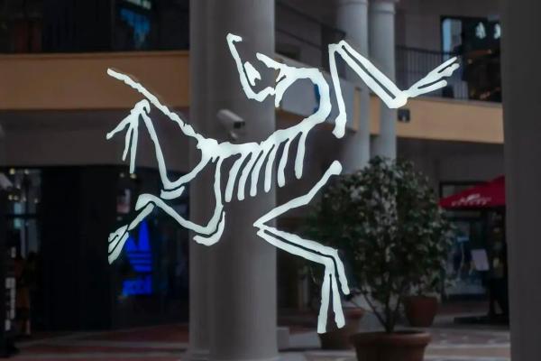 始祖鸟大热，网上的“代工货”是真的吗？