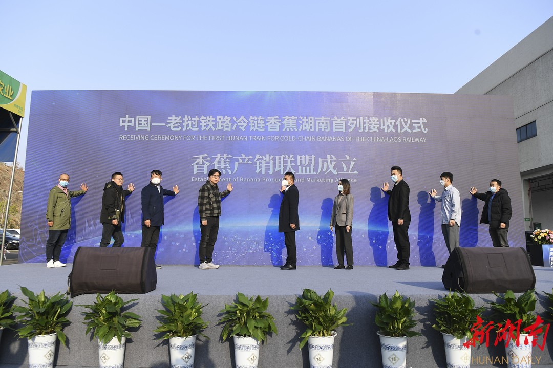 500多吨香蕉,运送500斤香蕉