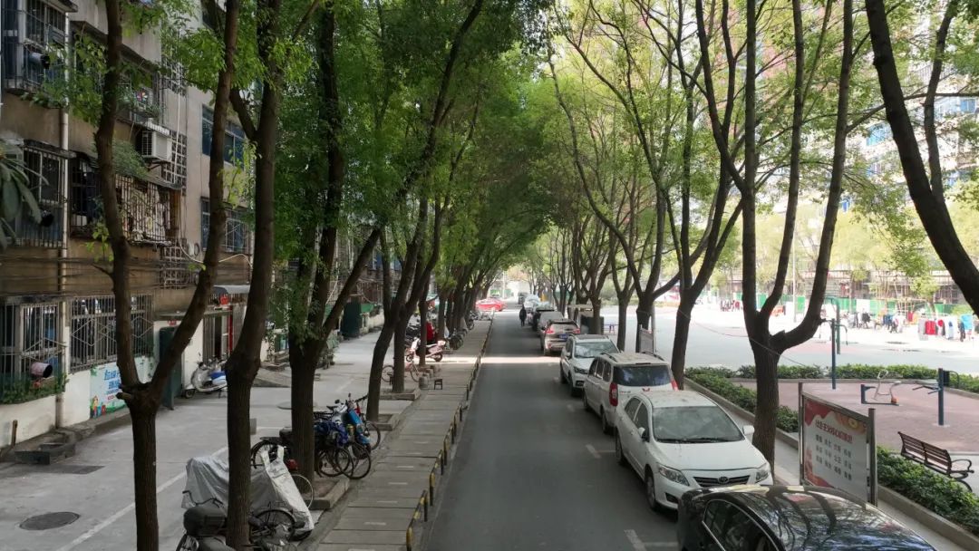 美好鄂城共同缔造｜42户顶楼“水帘洞”顽疾根治了