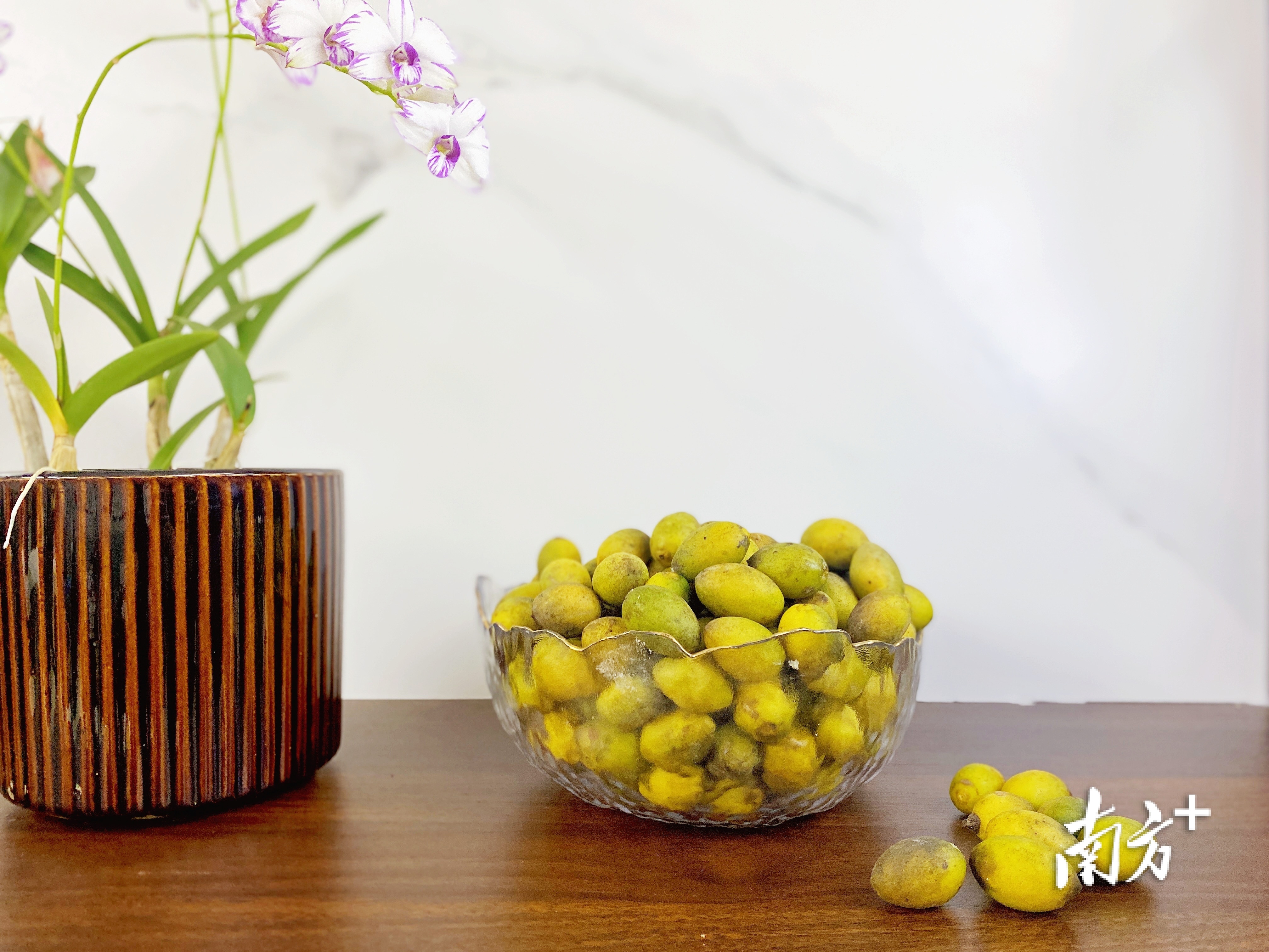 南方特稿丨小橄榄大突围