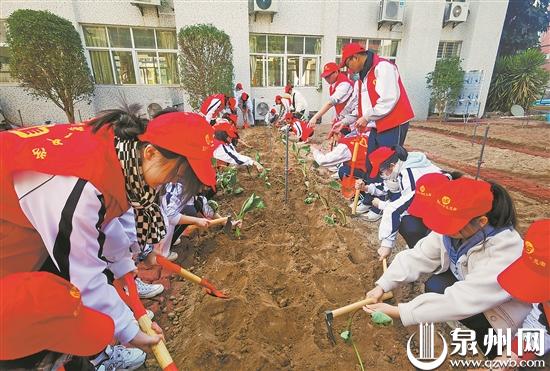 泉州一中梅花石,泉州梅石一中