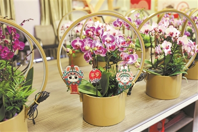 元旦节刊·花市|花如海人如潮，行过花街才过年