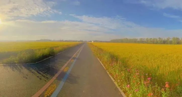 凝心聚力再发力,凝心聚力推进镇域经济高质量发展