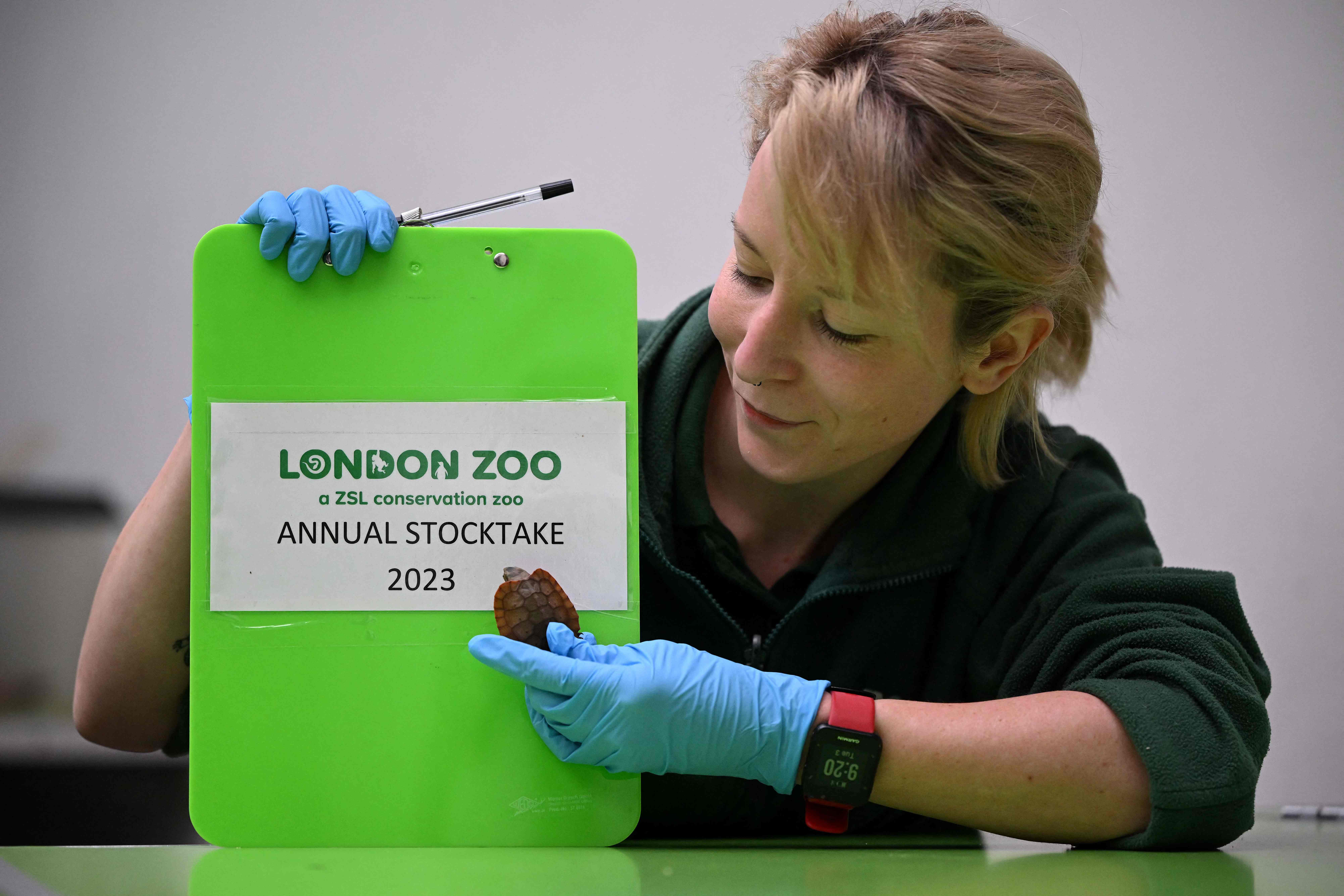 伦敦动物园动物大盘点,欧洲伦敦动物园