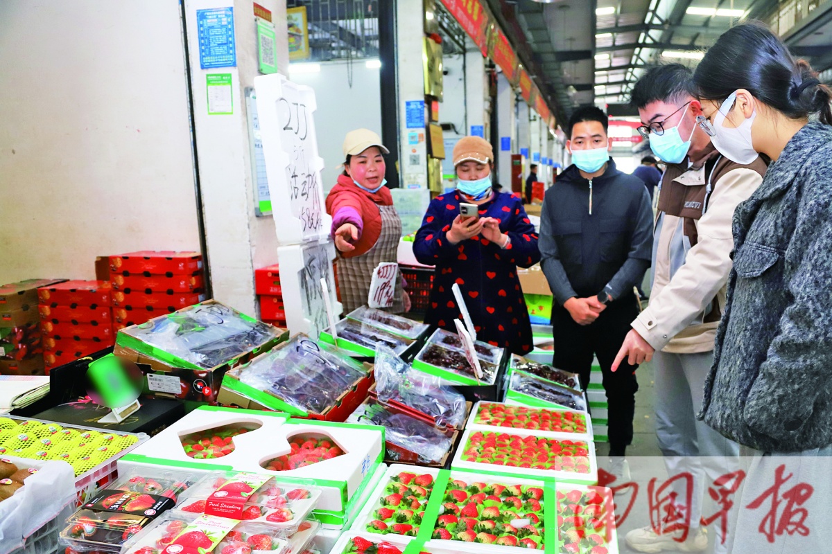 春节将至水果批发市场行情,南宁水果批发市场今日榴莲价格