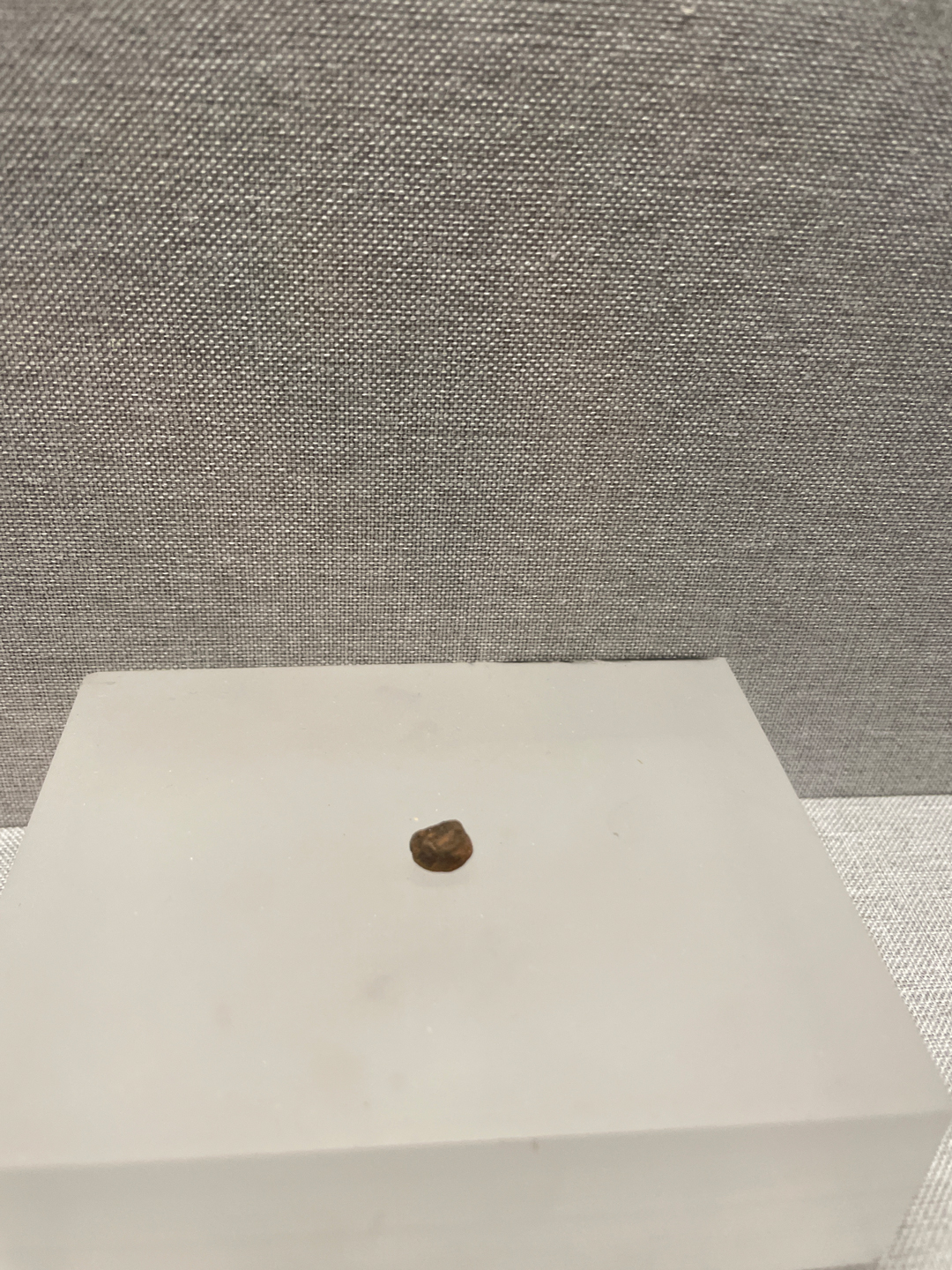 大江万古流,大江万古流特展