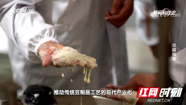 邵阳学院豆制品加工科研团队登上央视，讲解“豆腐传奇”
