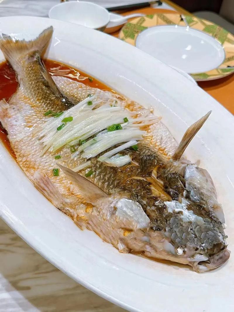 开凌梭正宗做法,清炖开凌梭