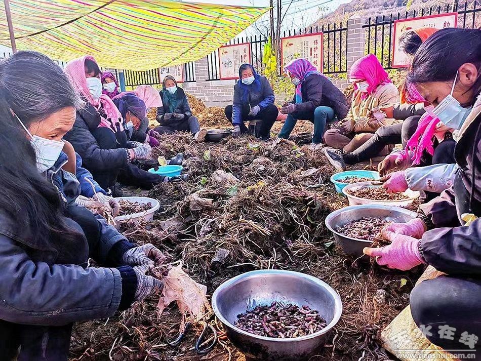 武山县重点工作会议,武山县乡村振兴四个一批