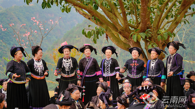 西畴女子太阳节的文化背景,西畴县女子太阳节的节庆文化意义