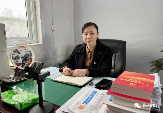 全力构建招商引资新格局,招商引资发展路径