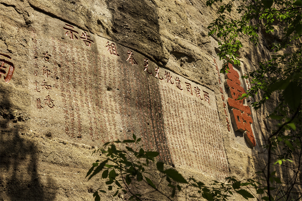 品味武夷山茶文化的理想之地,武夷茶文化历史简介