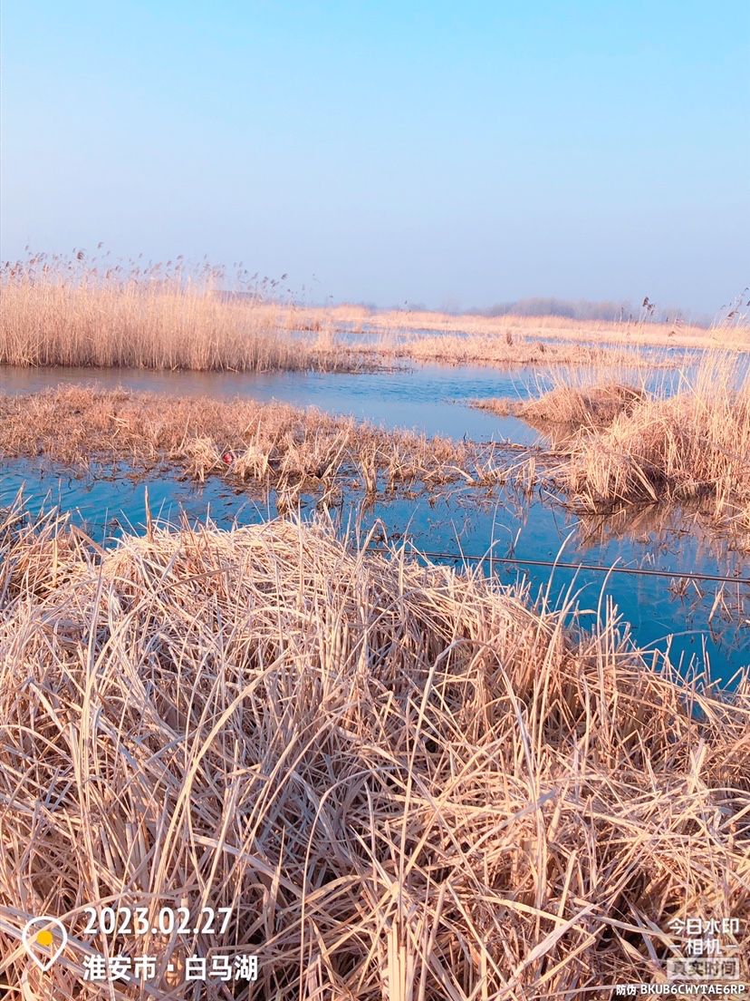 白马湖禁止钓鱼吗,白马湖朝阳河禁钓吗