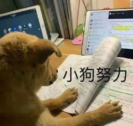 还在为写作文的问题发愁吗,都说论文难写有哪些写论文的诀窍