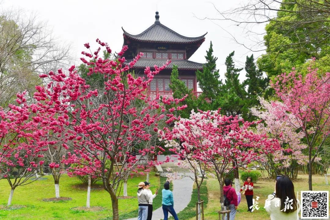 早安武汉｜武汉景区门票免费送！预约时间→