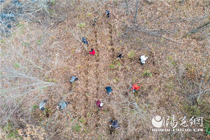 陕西镇坪联盟村,镇坪县联合村家庭种植农场
