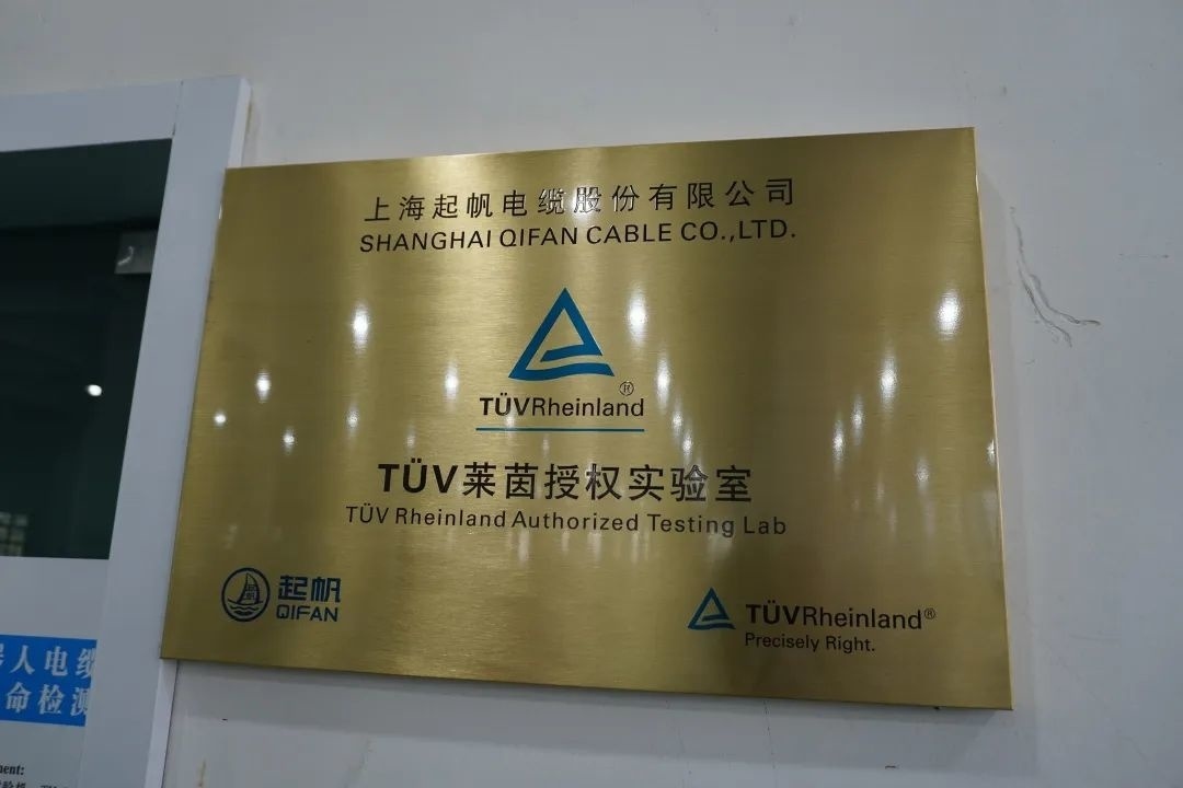 头雁领航群雁齐飞下一句是什么,头雁引领雁阵齐飞