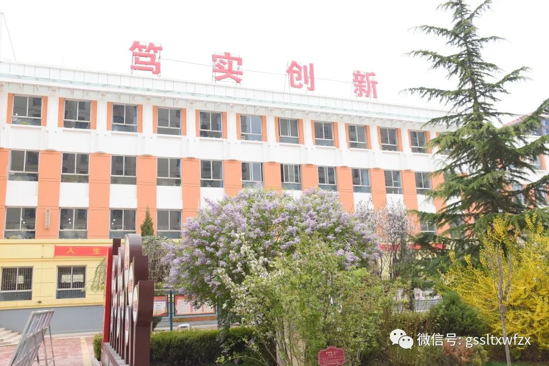 临洮文峰中学高考,临洮文峰中学2023高考喜报