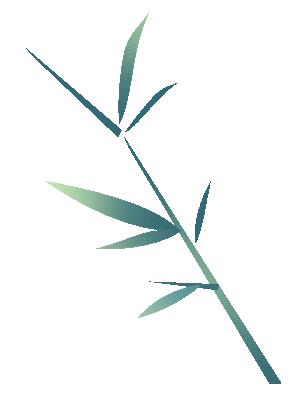 *党**报记者八闽调研行丨拔节生长,永安竹业蓄能勃发