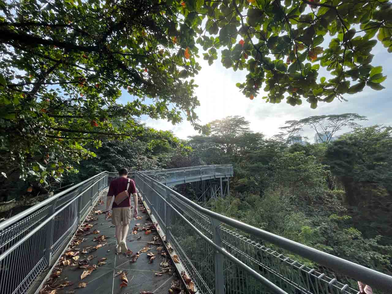 新加坡花园城市蕴含的意义,新加坡全球花园城市
