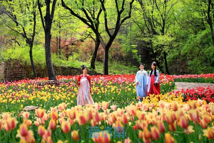 汉服带你感受中国传统文化的魅力,传统文化之美汉服