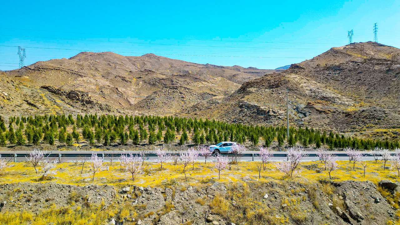 与春天撞个满怀全文,宁夏石嘴山贺兰山下风光