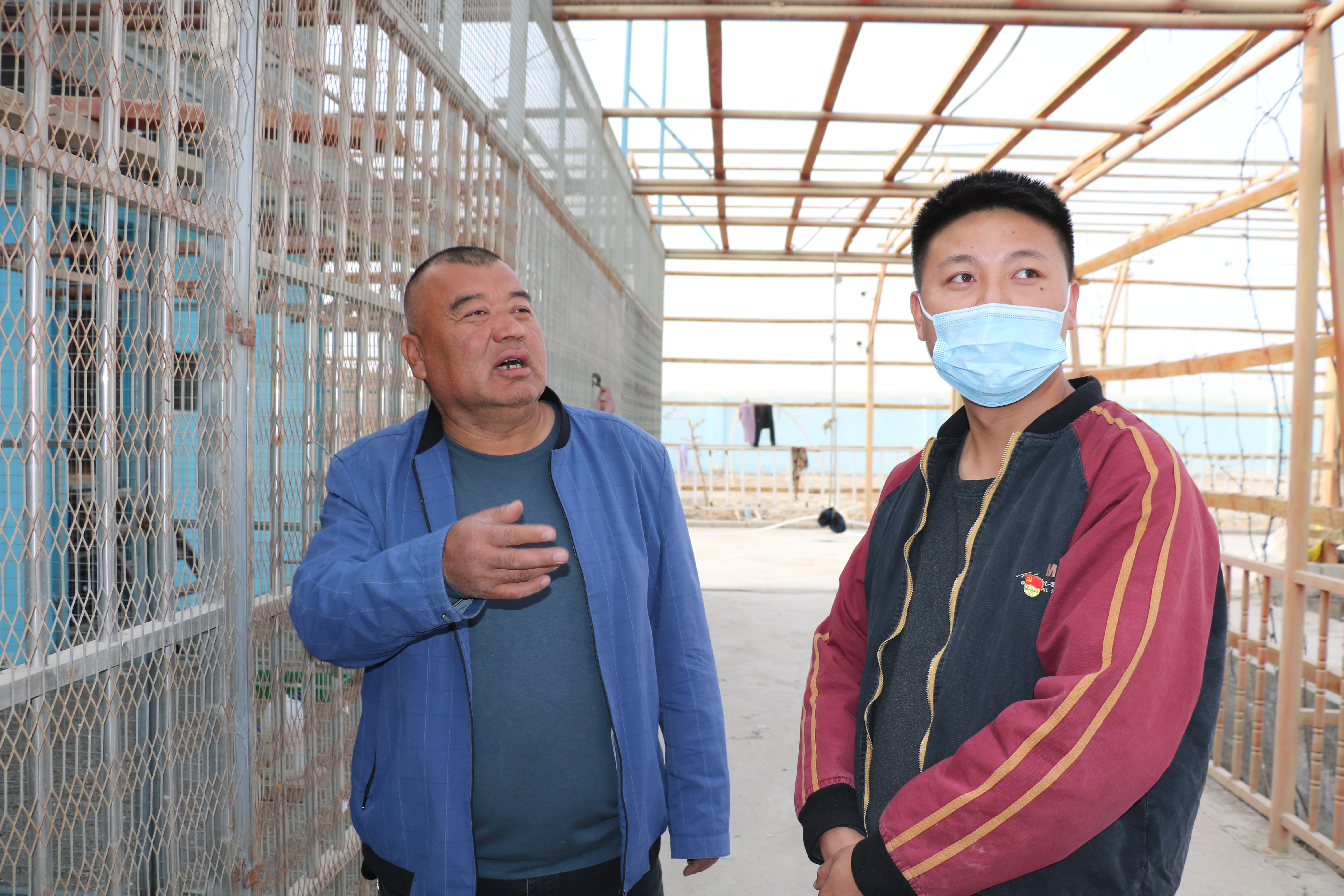 兰干乡：致富路上“鸽”声嘹亮