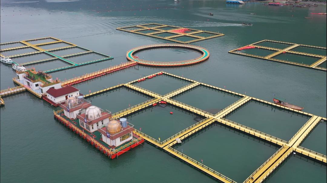 奋力谱写新时代宁德篇章,宁德经济腾飞