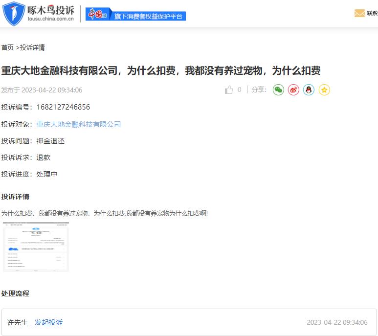 啄木鸟投诉金融平台,啄木鸟投诉平台收费吗