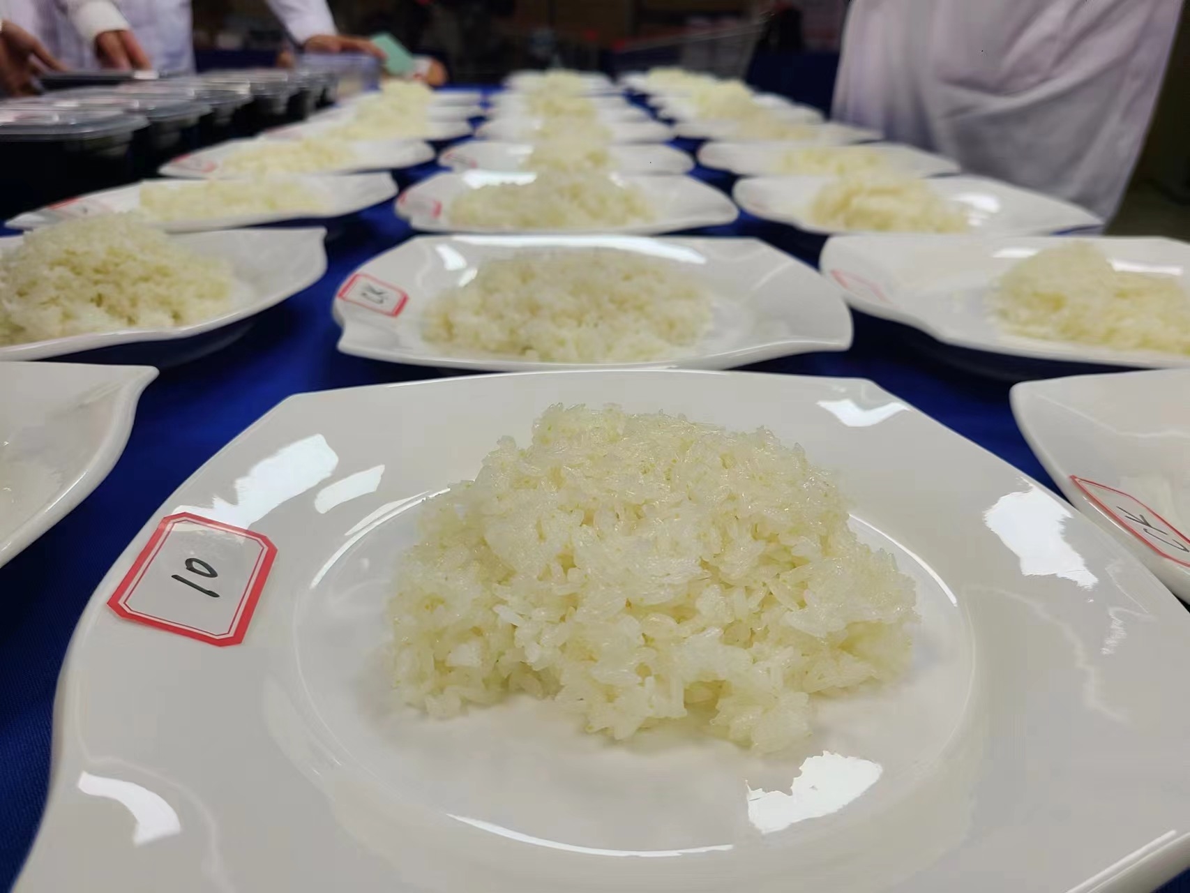 姹熻嫃鍗椾含鍦板熀鍩虹鍔犲浐,鍗椾含鍦板熀寮哄く鏈烘