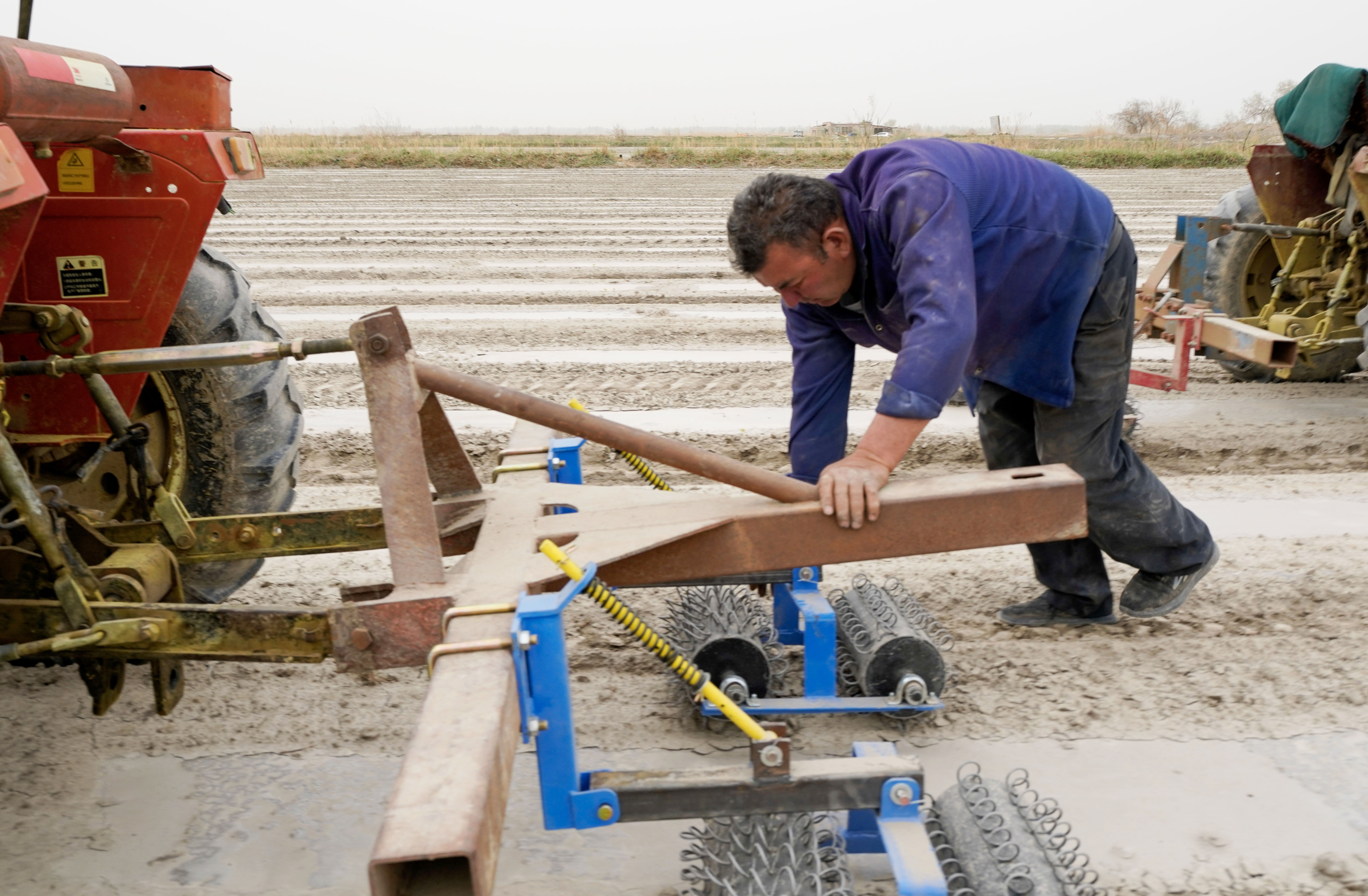 棉花本来的颜色,社会四季的变化