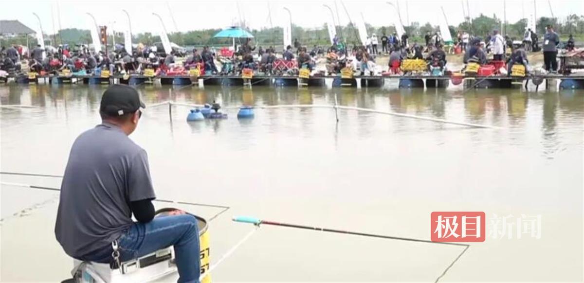 邓刚2018年钓鱼比赛,邓刚垂钓大赛现场直播