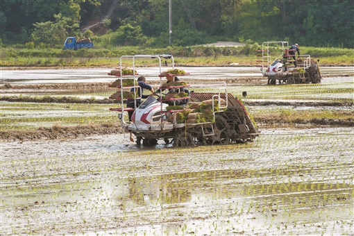 最新湖南农业机械化,湖南农业机械化怎么升级