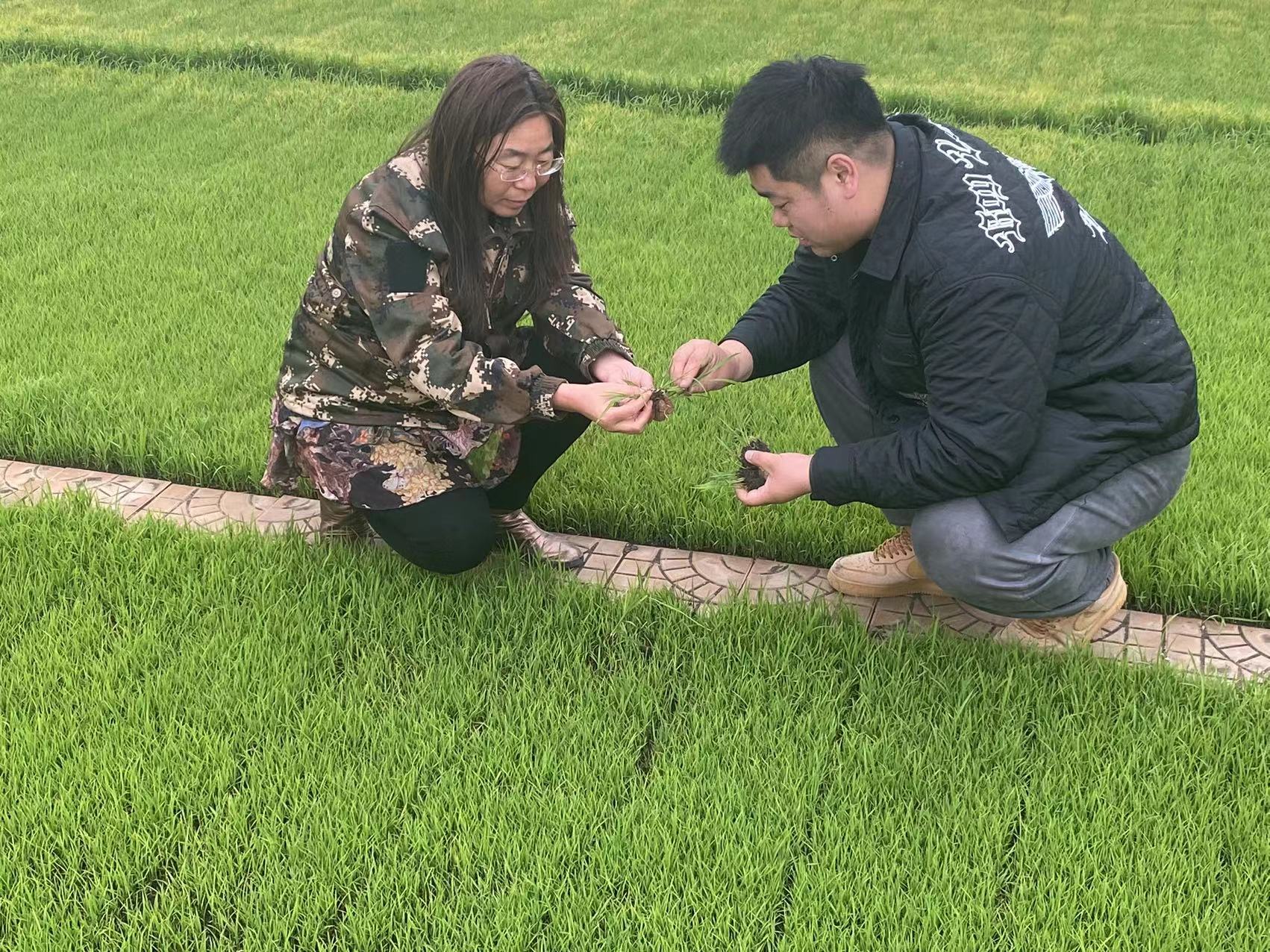 龙江精神感人故事,龙江感动人物事迹