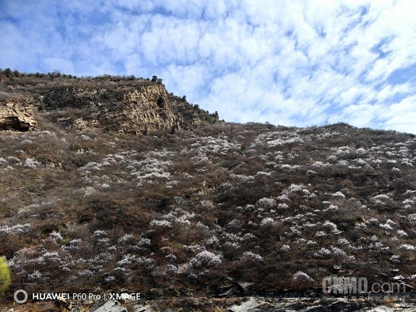 华为p60prodxo评分,华为p60pro拍照得分